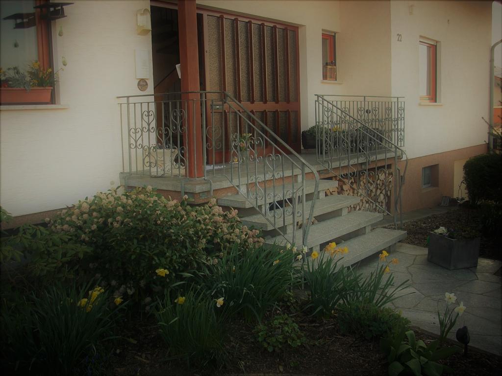 Ferienwohnung Lahntal/Taunus Huttenberg Exterior foto